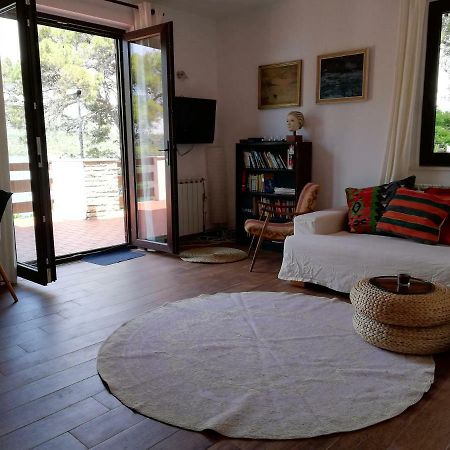 Apartments Vila Marija Grebaštica エクステリア 写真