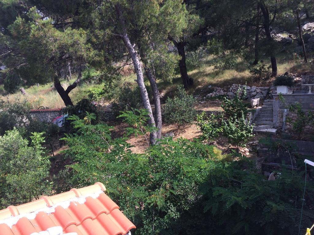 Apartments Vila Marija Grebaštica エクステリア 写真